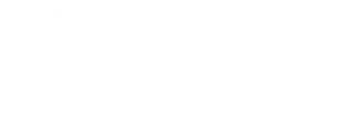 dell-partner-logo
